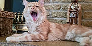 Huey is registered to the contest to win money with this photo: cat, orange_tabby, yawning, feline, pet, indoor, stone_hearth, woven_basket, statue, medieval_knight, relaxing, animal, fur, whiskers, mouth_open, paw, home_decor, cozy, resting, domestic_cat
