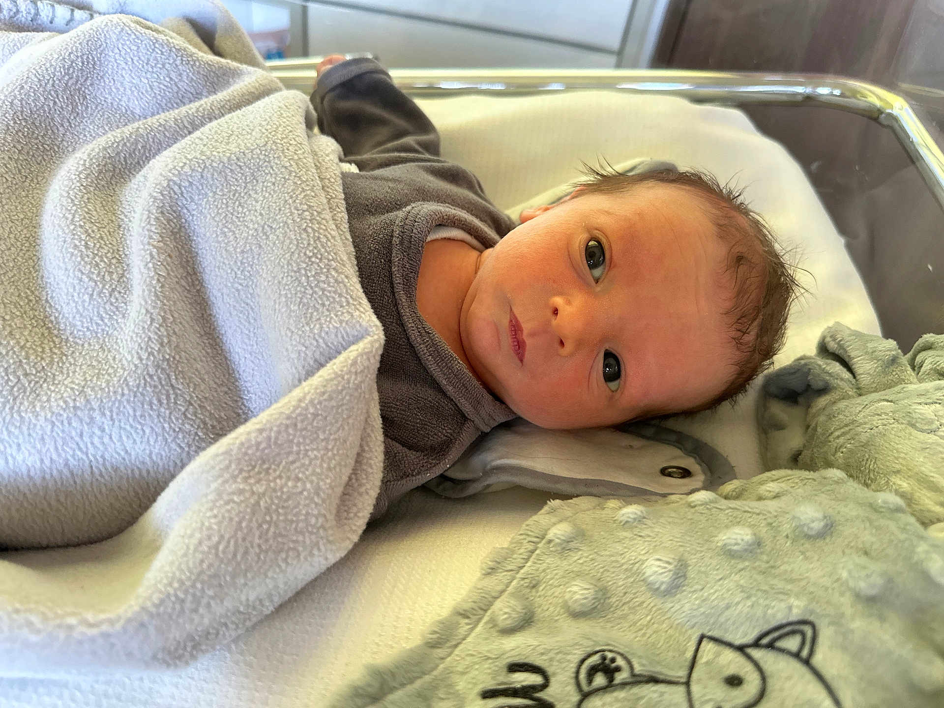 Maylan participe au concours pour gagner de l'argent avec cette photo : newborn, baby, blanket, hospital, bassinet, infant, face, eyes, soft, clothing, sleeping_area, cute, child, young, indoor, portrait, skin, head, expression, resting