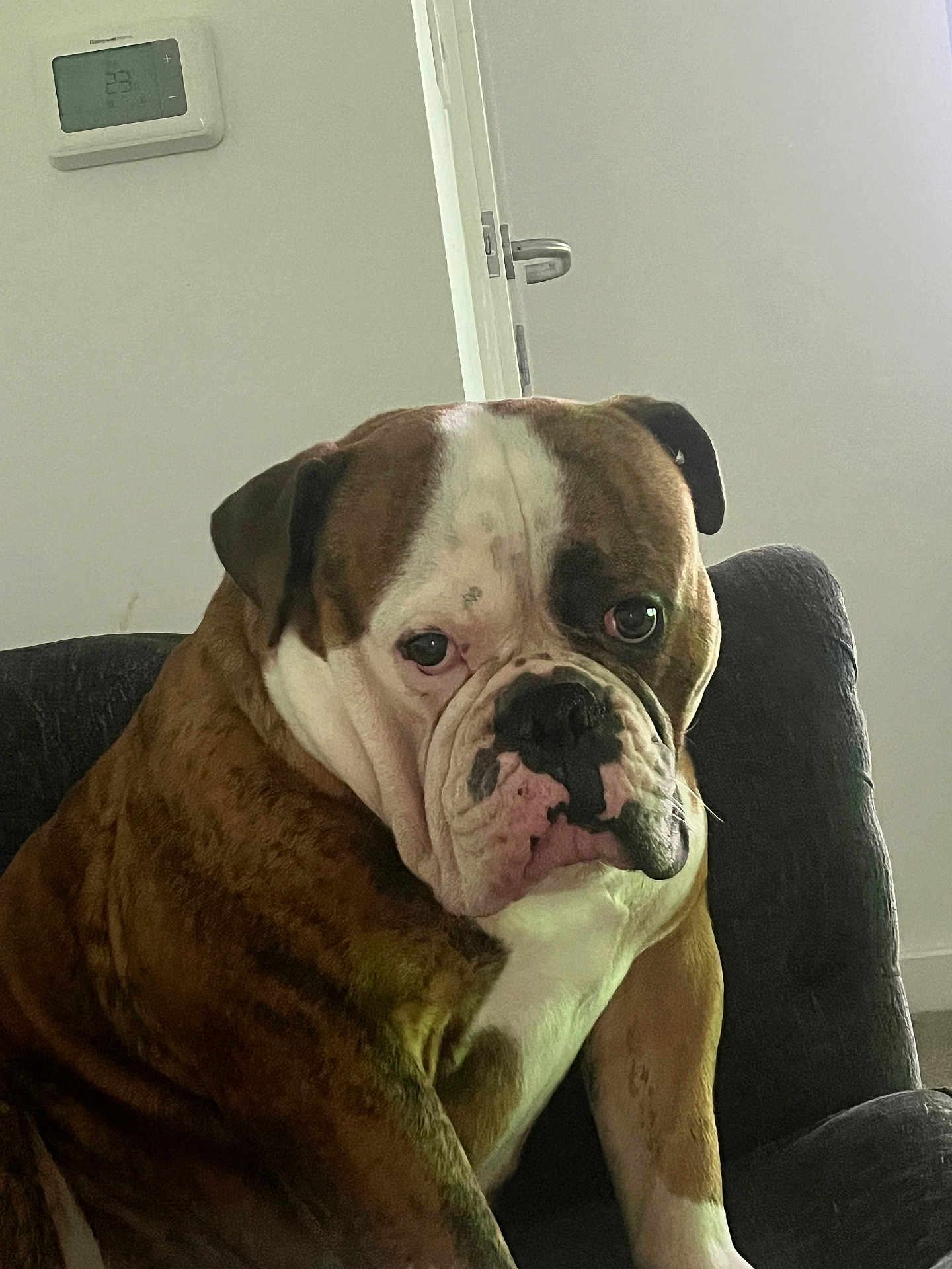 Bronson