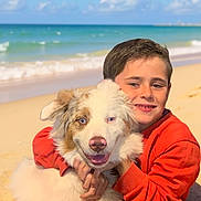 Bella a rejoint le concours — aidez-le/la à gagner de superbes lots ! boy, dog, beach, sand, ocean, sky, waves, sunny, hug, smile, orange_clothing, pet, outdoor, happy, fluffy_dog, blue_eyes, child, casual_clothing, nature, vacation