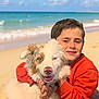 boy, dog, beach, sand, ocean, sky, waves, sunny, hug, smile, orange_clothing, pet, outdoor, happy, fluffy_dog, blue_eyes, child, casual_clothing, nature, vacation