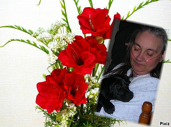 Duchesse a rejoint le concours — aidez-le/la à gagner de superbes lots ! anthurium, art, artificial_flower, bouquet, cut_flowers, floral_design, floristry, flower, flower_arranging, flowering_plant, gladiolus, person, petal, plant, red, rose, rose_family, rose_order