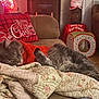 cat, gray_cat, sleeping, quilt, blanket, red_sweater, couch, holiday_decorations, christmas, pillow, plaid, indoor, cozy, relaxing, fur, pet, home, wood_floor, cat_toy, decor