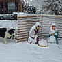 Scout joined the competition — help win amazing prizes! animal, background, bushes, cold, curious, decorations, dog, festive, holiday, house, nativity_scene, outdoor, sculpture, seasonal, snow, snowfall, trees, white, winter, yard
