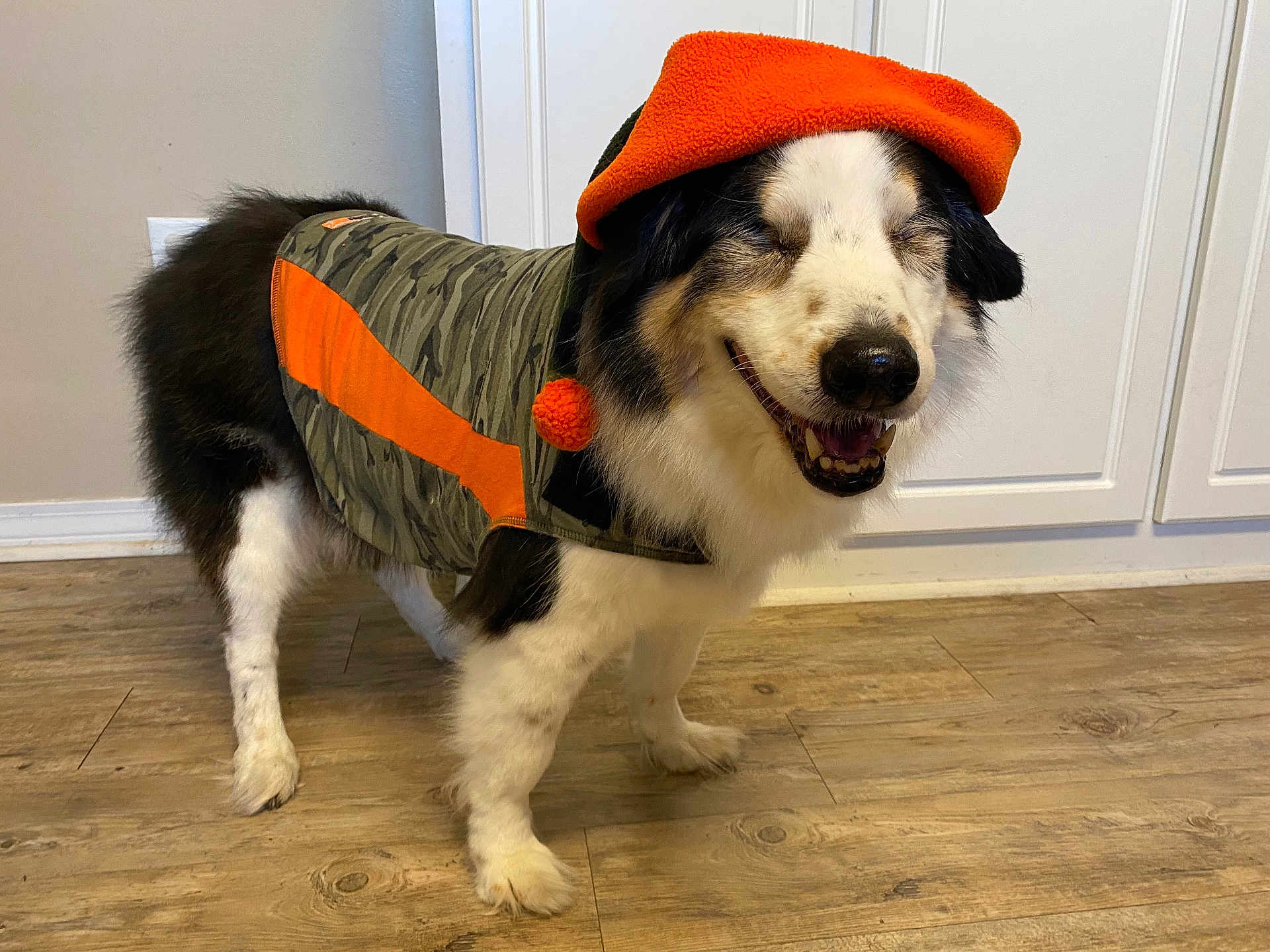 Scout