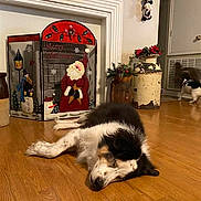 Scout is registered to the contest to win money with this photo: animal, christmas_decor, cozy, decorative_plant, dog, doorway, festive, floor, holiday, home, indoor, pet, playing_dog, relaxing, santa_figure, sleeping, small_dog, snowman_figure, vintage_container, wooden_floor