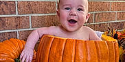Maddox is registered to the contest to win money with this photo: baby, pumpkin, brick_wall, autumn_leaves, sunflowers, toy_truck, mini_pumpkins, fall_decor, child, smiling, outdoor, seasonal, happy, orange, flower, holiday, cute, person, festive, nature