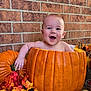 baby, pumpkin, brick_wall, autumn_leaves, sunflowers, toy_truck, mini_pumpkins, fall_decor, child, smiling, outdoor, seasonal, happy, orange, flower, holiday, cute, person, festive, nature
