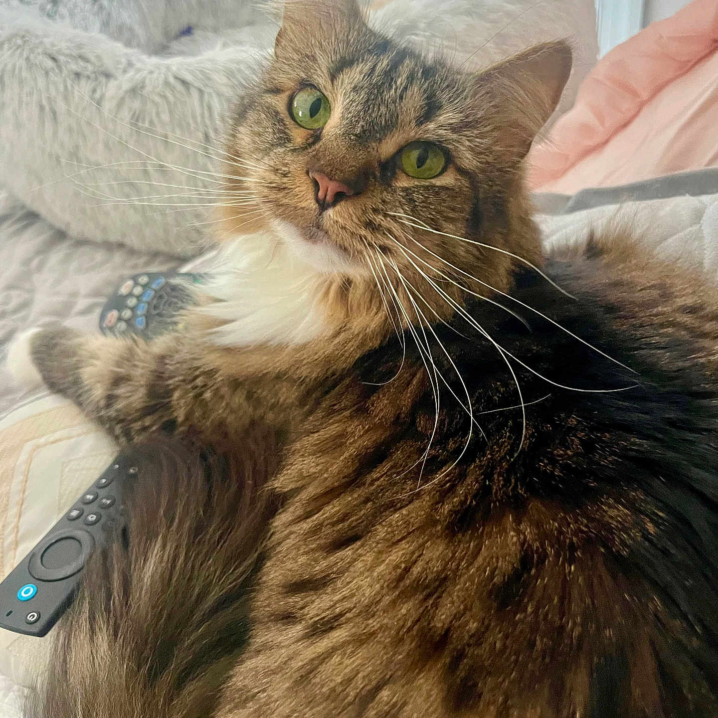 Sweetie