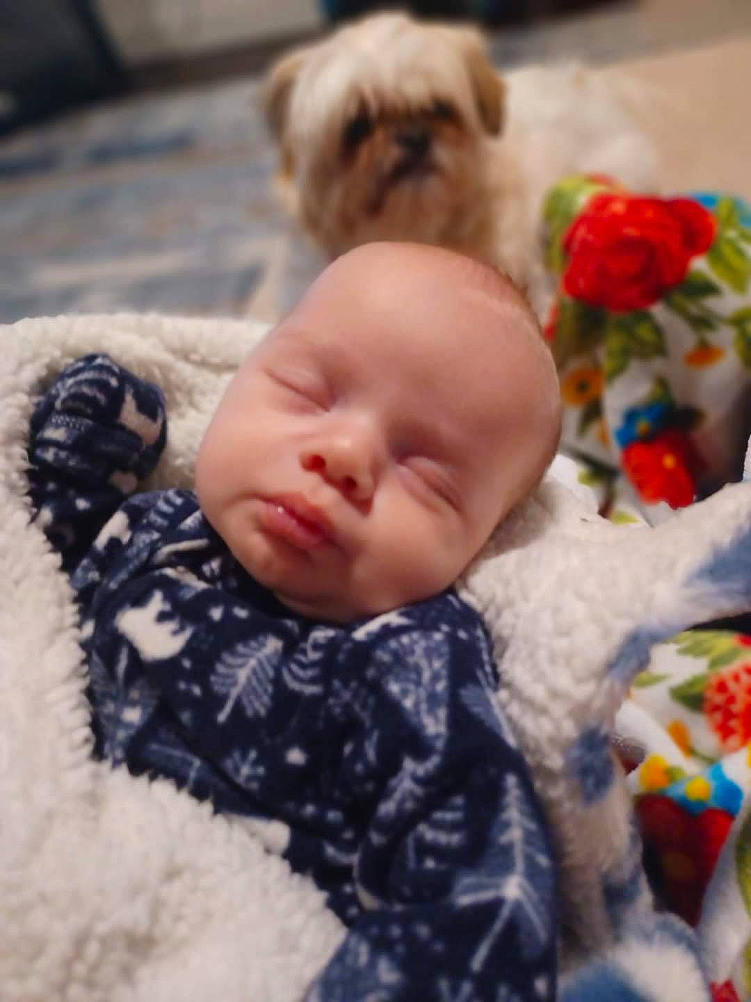 Arthur is registered to the contest to win money with this photo: baby, baby_toddler_clothing, cheek, child, comfort, flooring, fur, happy, iris, linens, mammal, nose, organ, pattern, person, skin, textile, toddler, toy, vertebrate