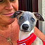 Gracie is registered to the contest to win money with this photo: woman, puppy, dog, pet, red_harness, smile, hat, cross_necklace, closeup, indoor, face, ears, fur, collar, person, animal, portrait, cute, looking, happy