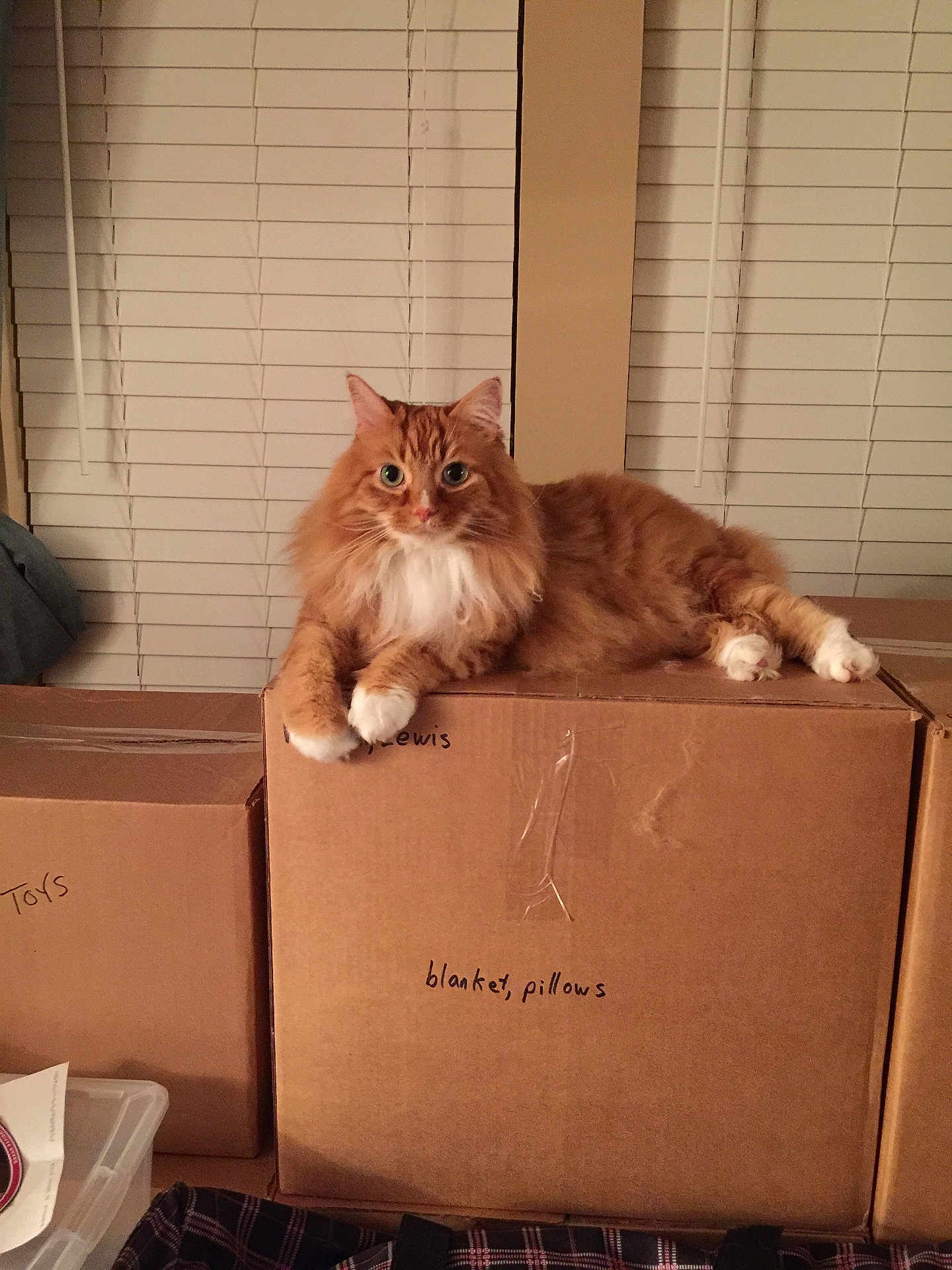 Max