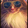 Max is registered to the contest to win money with this photo:
