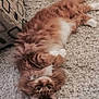Max is registered to the contest to win money with this photo: