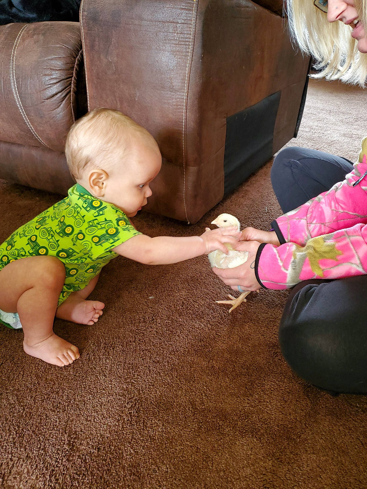 Clinton joined the competition — help win amazing prizes! child, floor, flooring, grass, leg, person, play, sitting, toddler, wood