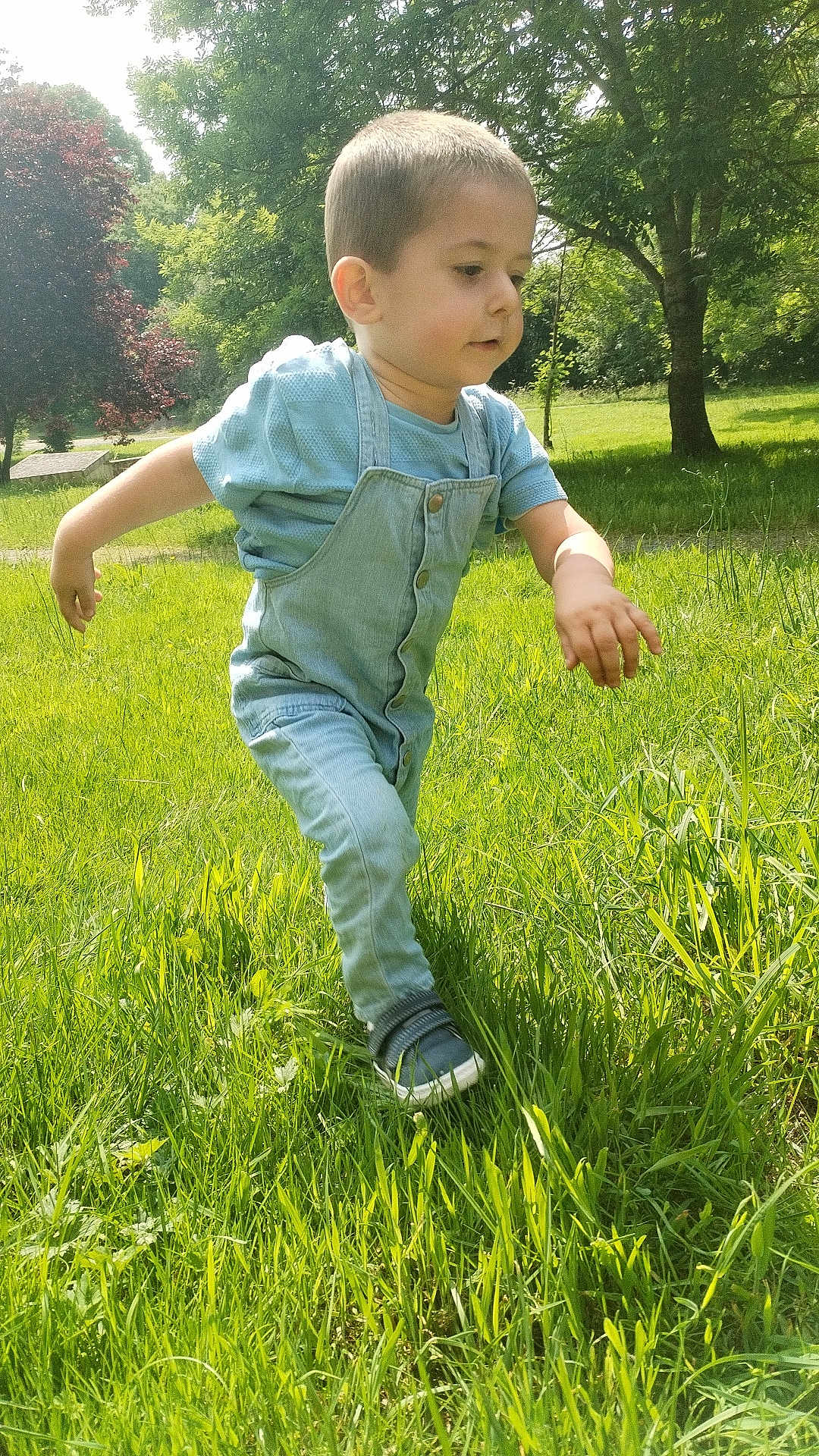 Télyo a rejoint le concours — aidez-le/la à gagner de superbes lots ! toddler, child, denim_overalls, blue_shirt, grass, outdoor, sunlight, tree, nature, walking, greenery, young_child, casual_clothing, daytime, person, footwear, playing, summer, park, exploring