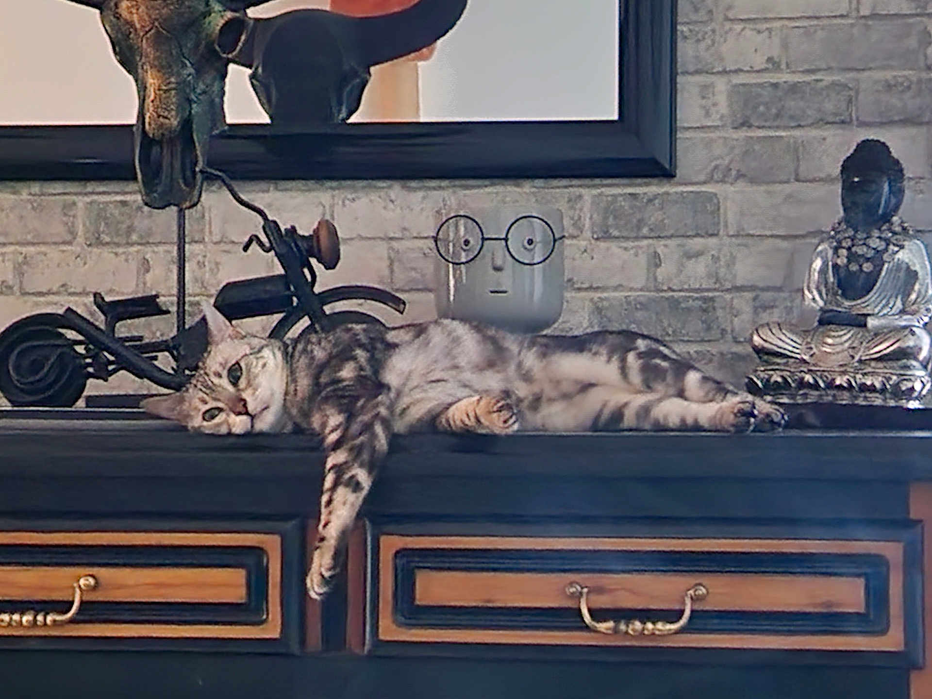 Louna participe au concours pour gagner de l'argent avec cette photo : cat, tabby, dormant, dresser, wooden_furniture, motorcycle_sculpture, face_planter, glasses, buddha_statue, brick_wall, decor, interior, relaxed, sprawled, vintage, indoor, home, feline, resting, artistic