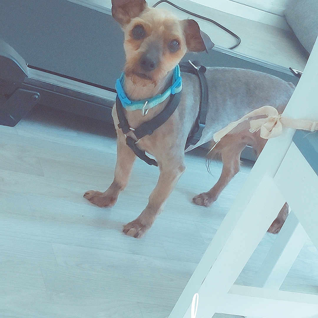 Izack