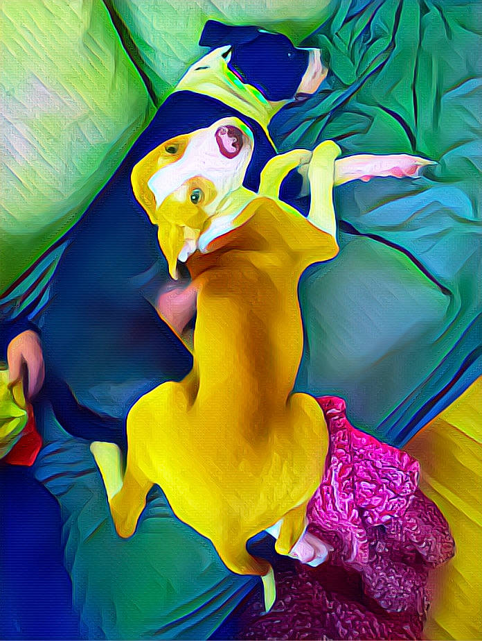 Harlow is registered to the contest to win money with this photo: art, fictional_character, illustration, organism, textile, yellow