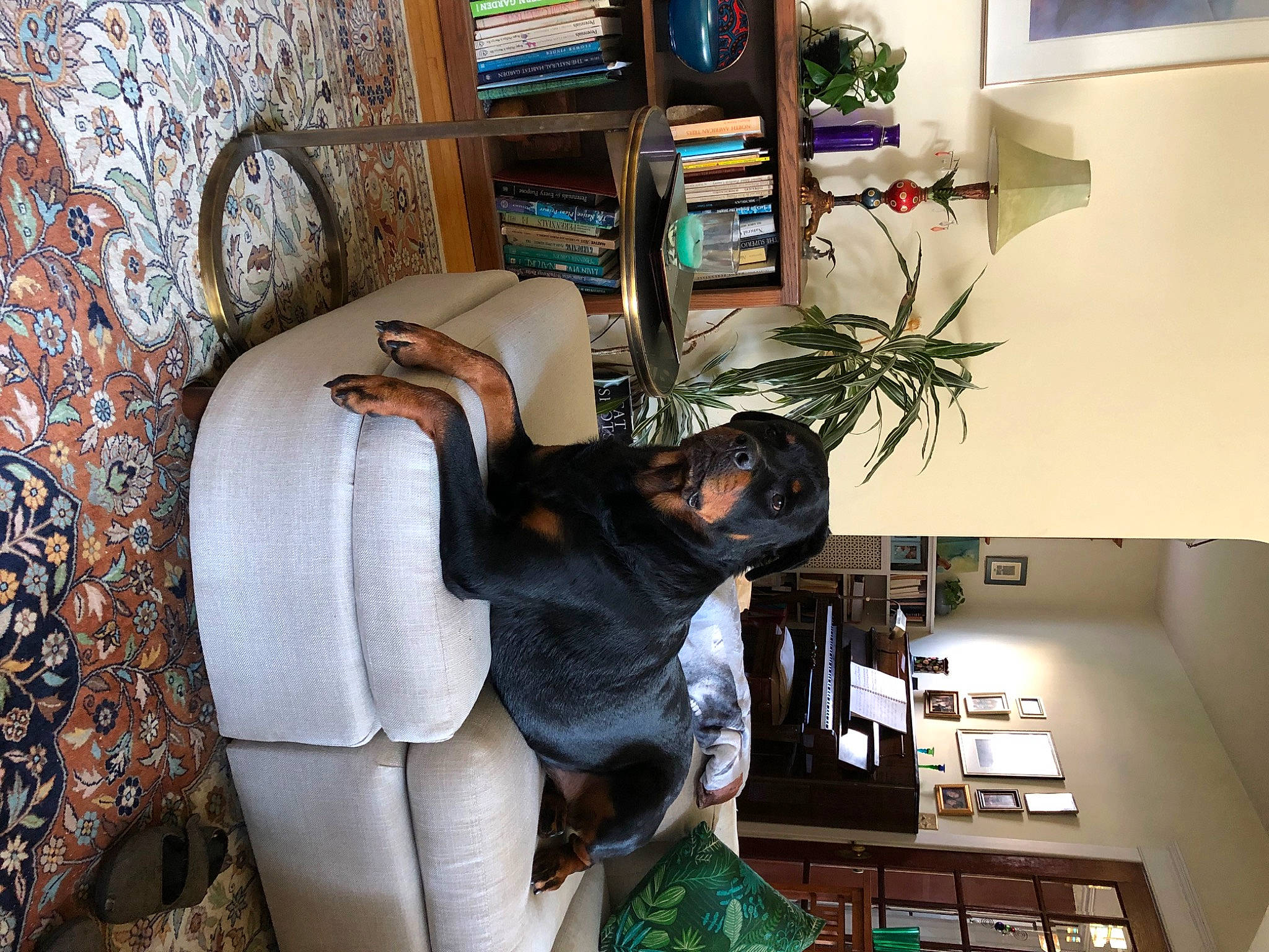 Diana is registered to the contest to win money with this photo: bookcase, comfort, flooring, flowerpot, furniture, house, houseplant, interior_design, linens, living_room, picture_frame, plant, room, shelf, shelving, sitting, suit, table, tree, wood