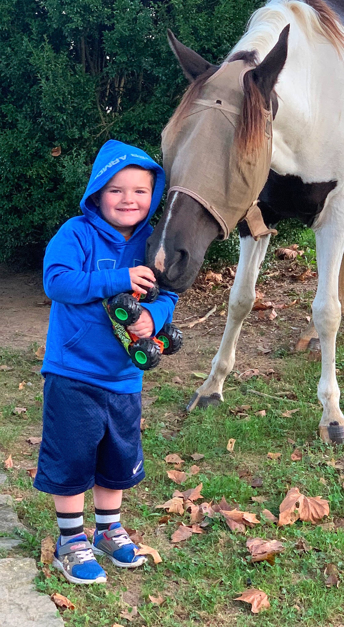 Lee is registered to the contest to win money with this photo: horse, joy, person