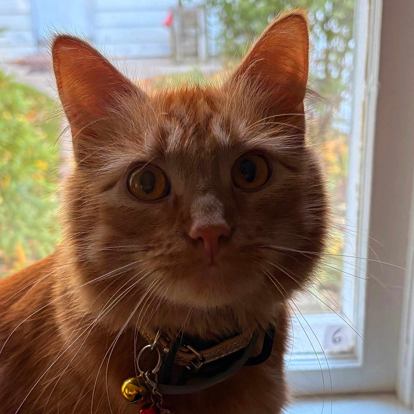 Ernie