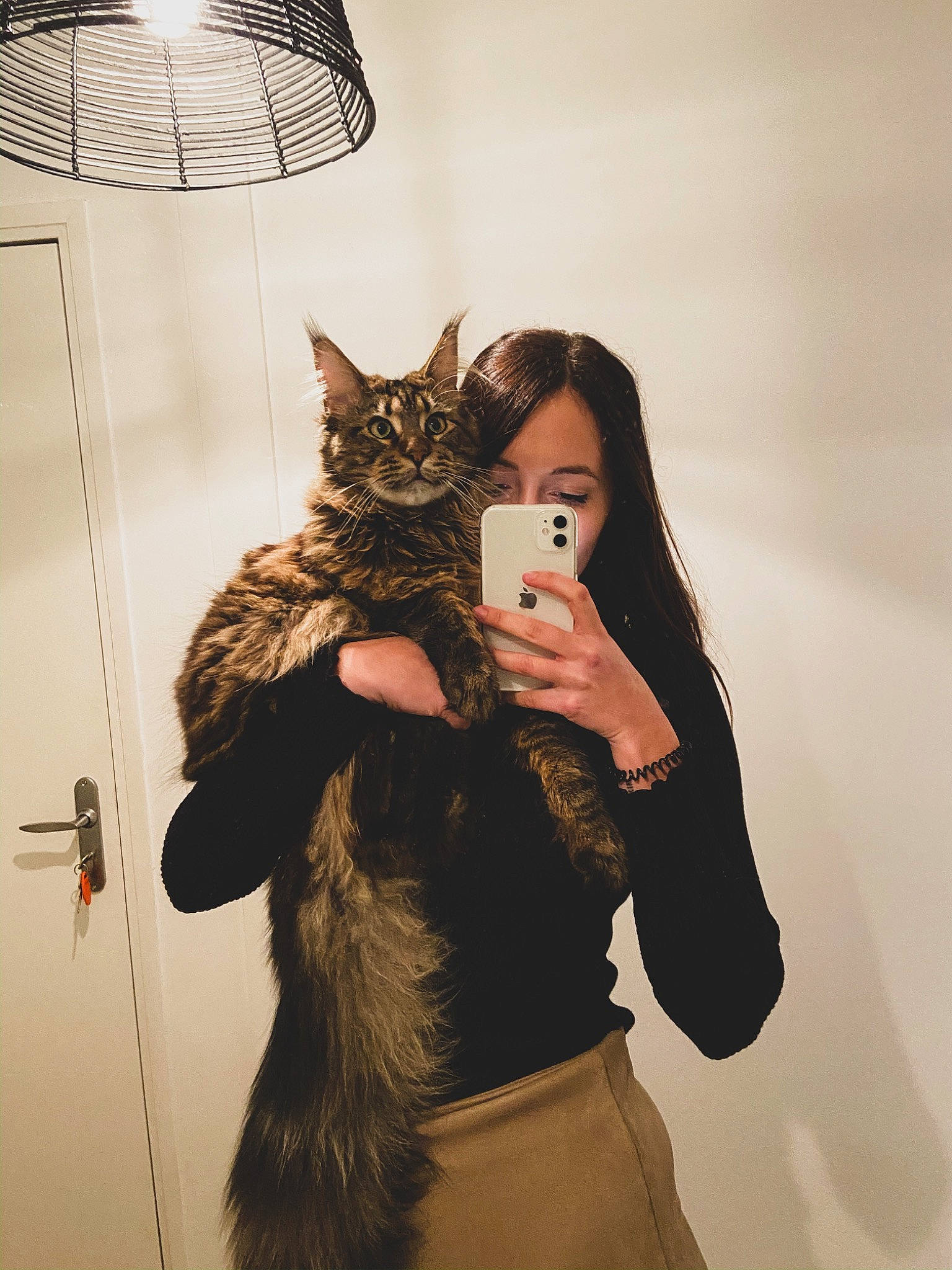 Pablo Du Royaume Du Nord participe au concours pour gagner de l'argent avec cette photo : asian, beauty, brown_hair, carnivore, cat, domestic_short_haired_cat, ear, european_shorthair, eye, felidae, fur, hand, kitten, maine_coon, organ, room, skin, small_to_medium_sized_cats, tabby_cat, whiskers