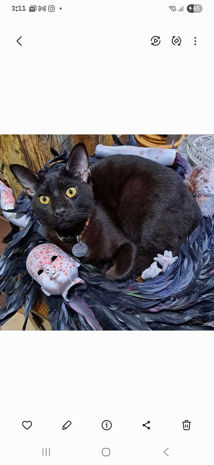Diego
