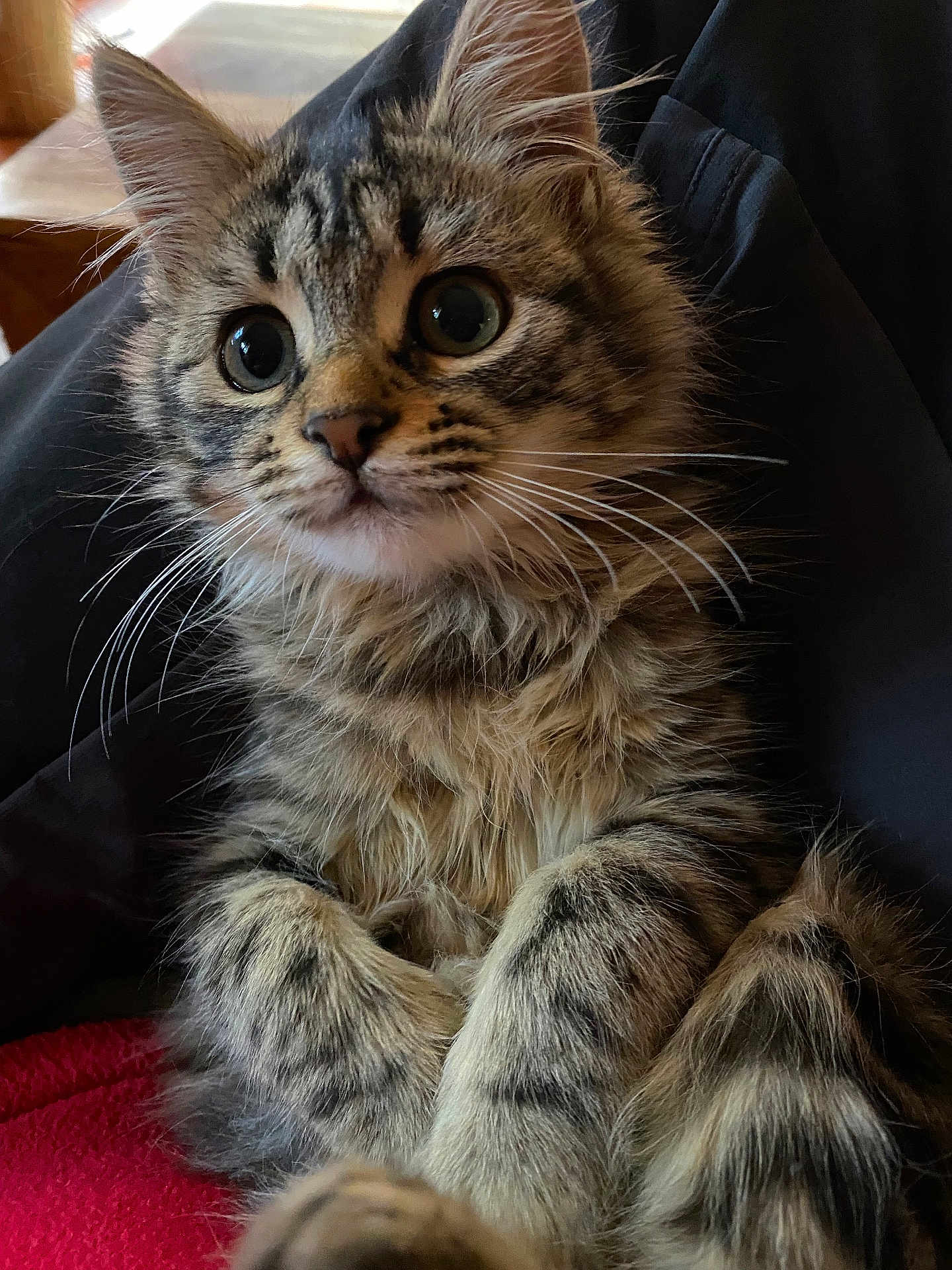 Boutette