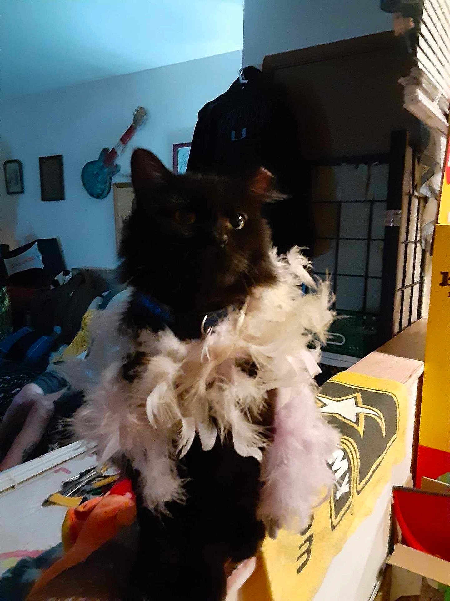 Stinkybooter
