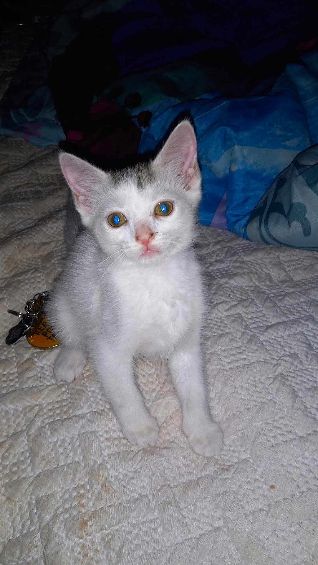 Tiny