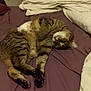 abyssinian, animal, bed, bedroom, blanket, cat, couch, cushion, furniture, homedecor, indoors, kitten, linen, manx, person, pet, quilt, room, siamese, sleeping