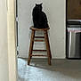 black_cat, cat, wooden_stool, indoor, carpet, trash_bin, wall, door_hinge, quiet, pet, feline, animal, sitting, looking_away, shadow, home, floor, furniture, domestic, calm