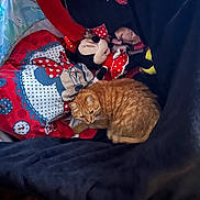 Koukounet Rassat participe au concours pour gagner de l'argent avec cette photo : animal, bedroom, black, blanket, cat, colorful, comfort, cute, fur, ginger_cat, indoor, minnie_mouse, pillow, polka_dots, red, relaxing, resting, soft, stuffed_toy, white