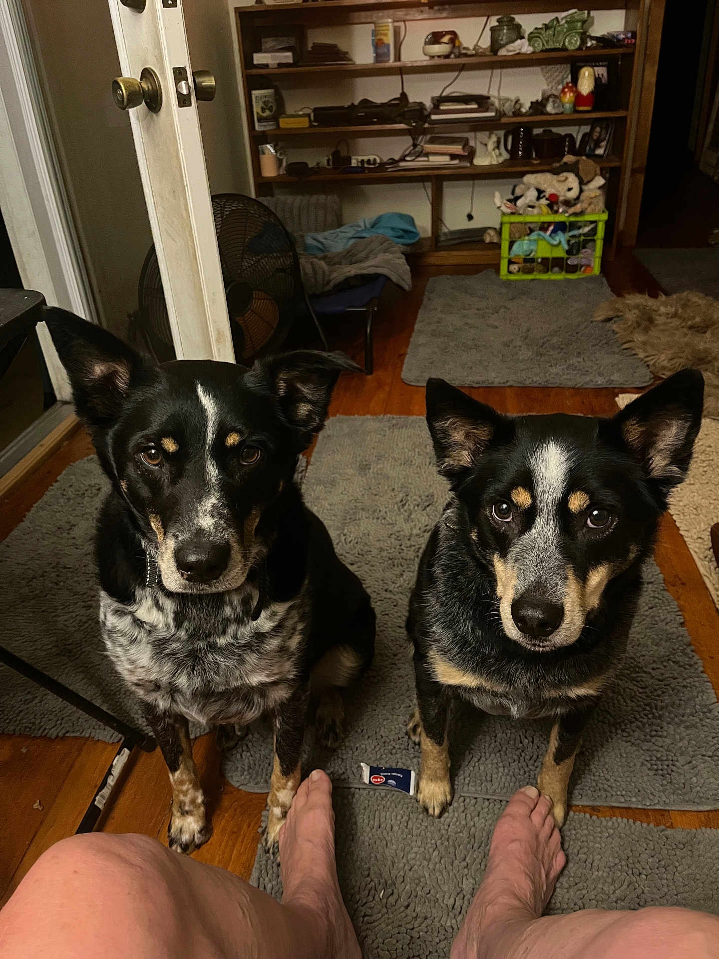 The Boys