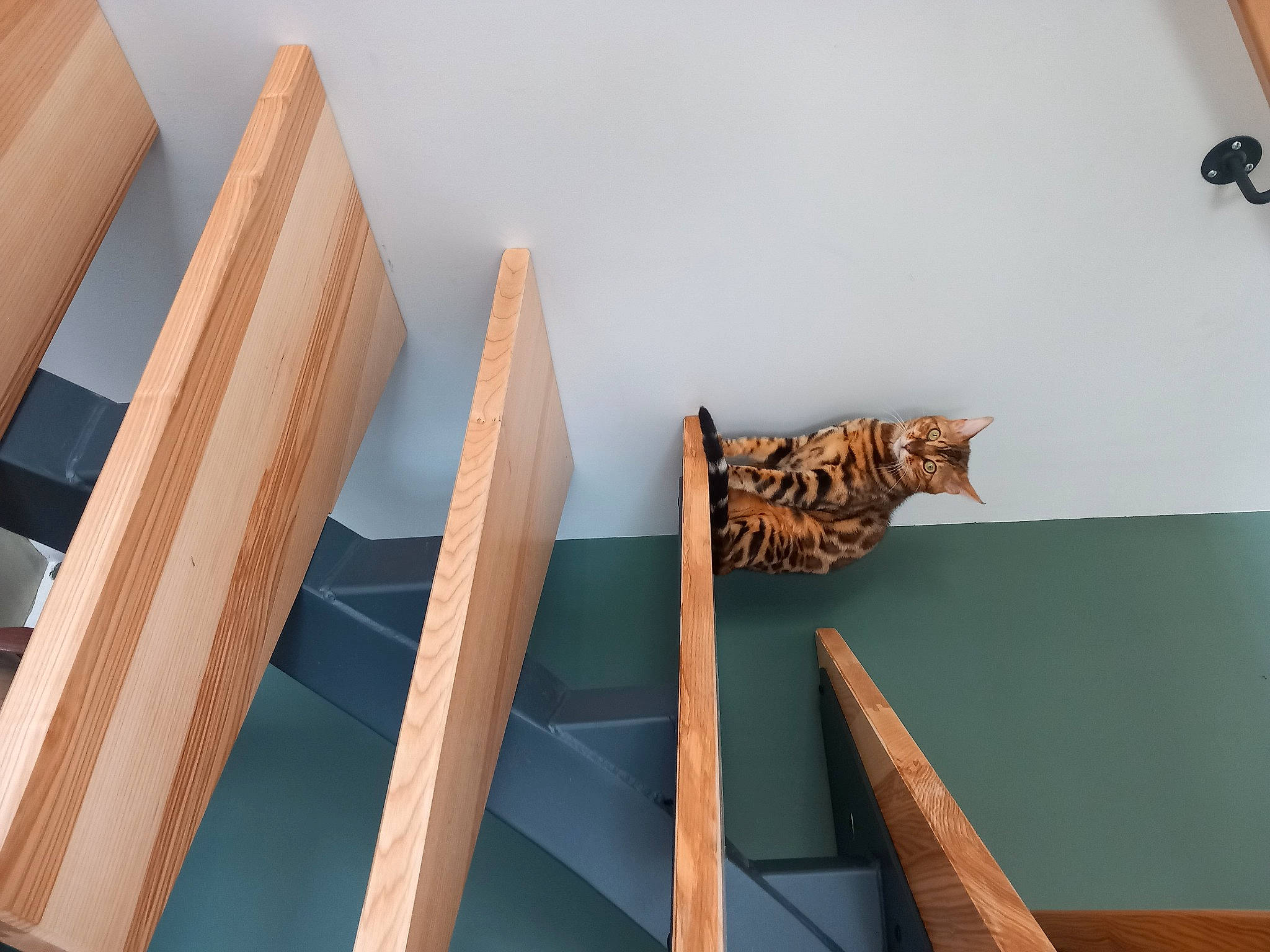 Utha participe au concours pour gagner de l'argent avec cette photo : art, building, ceiling, facade, floor, flooring, hardwood, house, pattern, plywood, rectangle, room, shade, stairs, symmetry, tints_and_shades, urban_design, visual_arts, wood, wood_stain