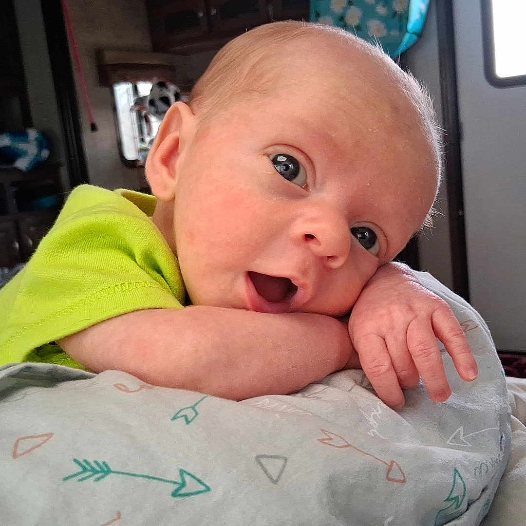 Dalton joined the competition — help win amazing prizes! architecture, baby, bodypart, building, computerhardware, couch, cushion, electronics, face, finger, furniture, hand, hardware, head, homedecor, monitor, person, photography, portrait, screen