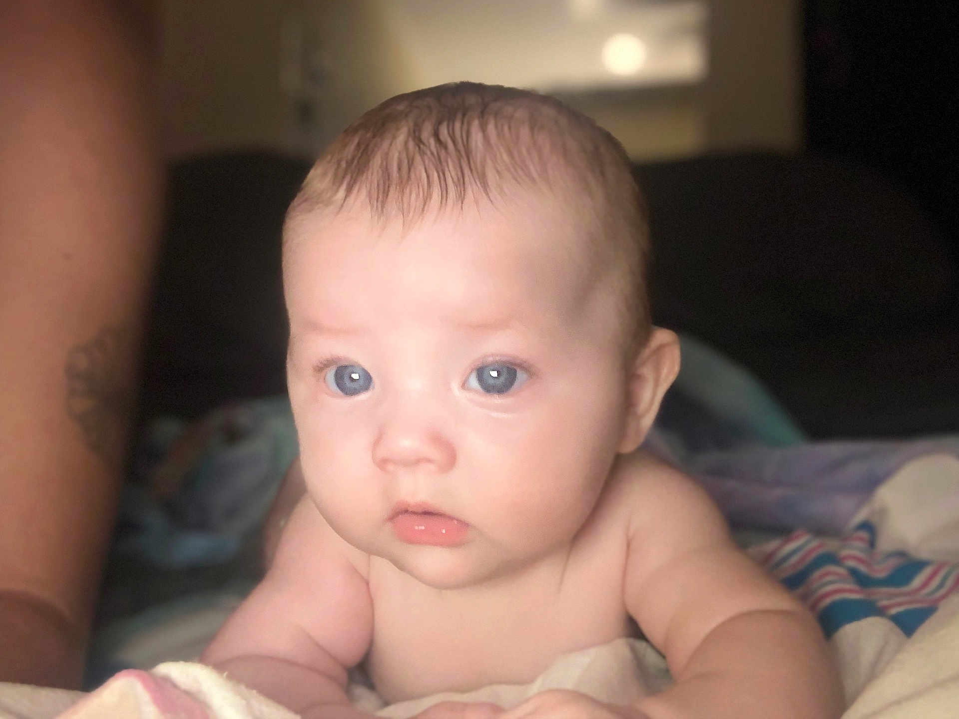 Gemma
