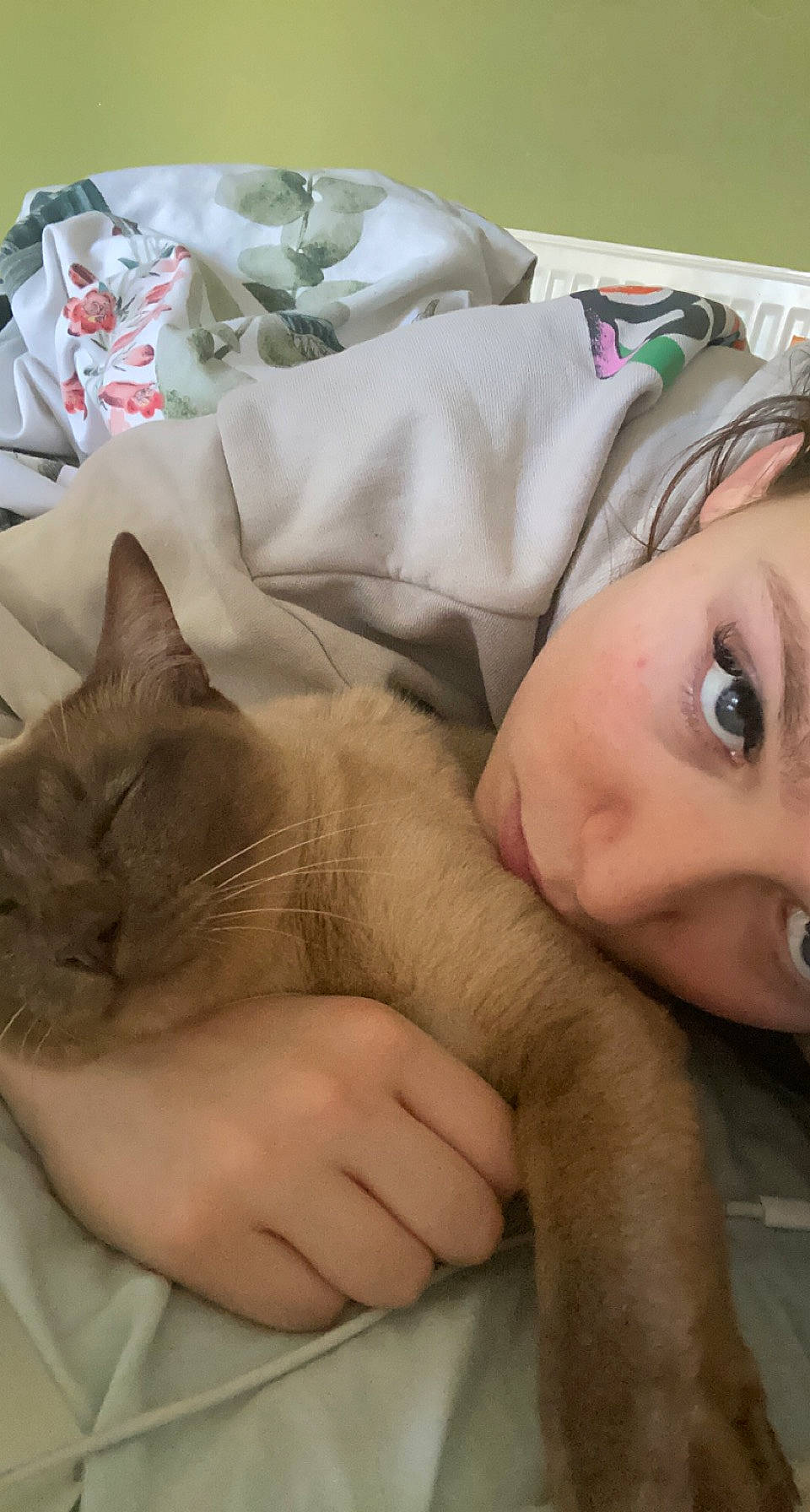 Cloudy Moon joined the competition — help win amazing prizes! bedding, carnivore, cat, child, comfort, domestic_short_haired_cat, eyelash, fawn, felidae, fur, gesture, linens, nail, nap, nose, skin, small_to_medium_sized_cats, textile, vertebrate, whiskers