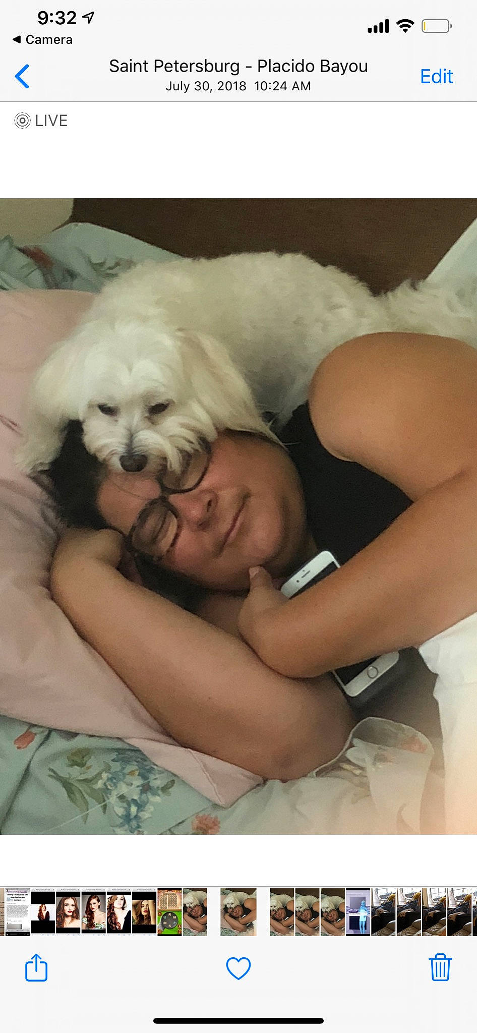 Kingsley joined the competition — help win amazing prizes! bichon, bolognese, canidae, carnivore, companion_dog, coton_de_tulear, dog, dog_breed, havanese, lhasa_apso, maltepoo, maltese, mammal, non_sporting_group, nose, puppy, puppy_love, shih_tzu, toy_dog, vertebrate