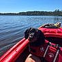 dog, life_jacket, kayak, water, lake, forest, sky, outdoor, pet, animal, recreation, summer, sunlight, nature, human_leg, adventure, calm, red_color, water_sport, companionship