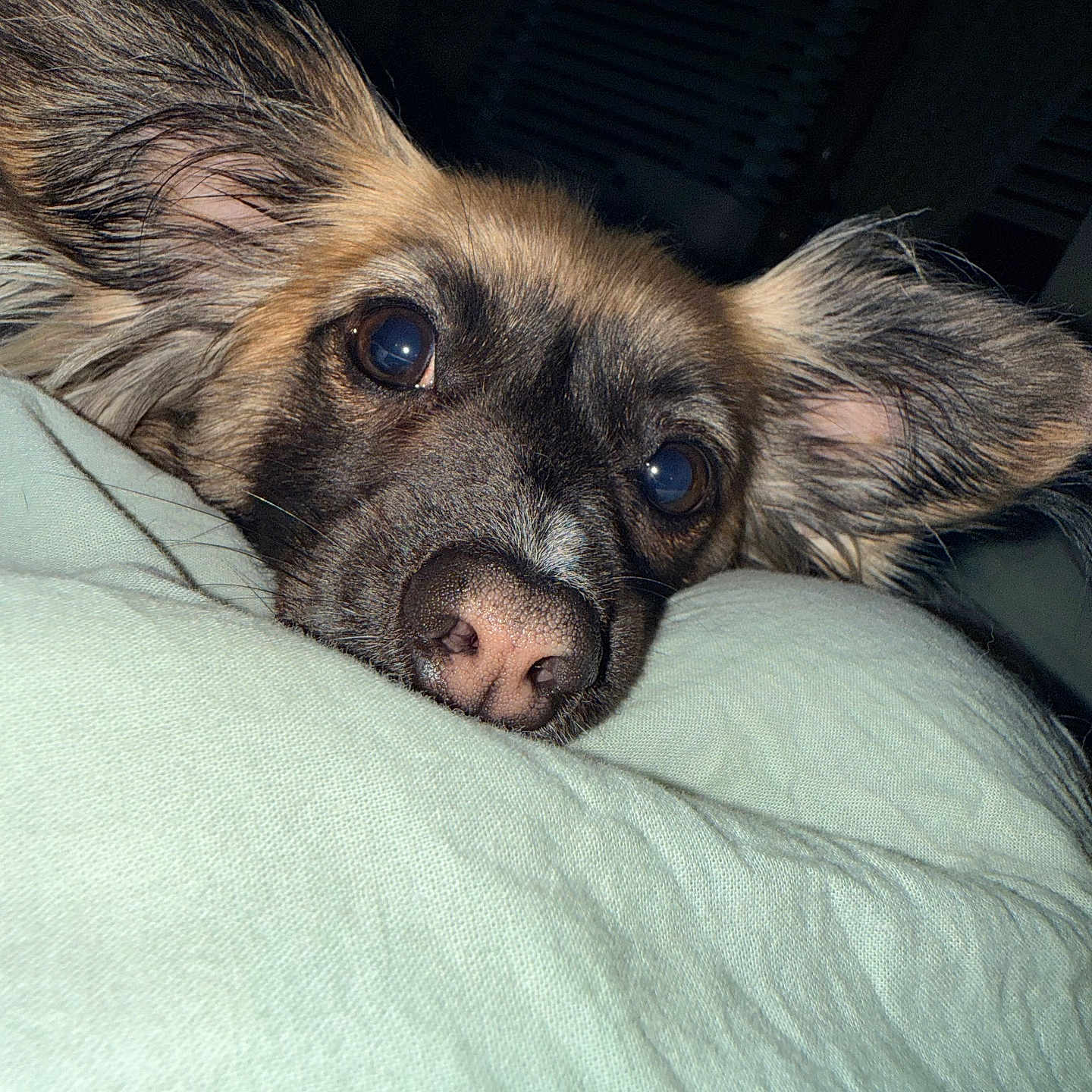 Kody