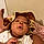 Josiah