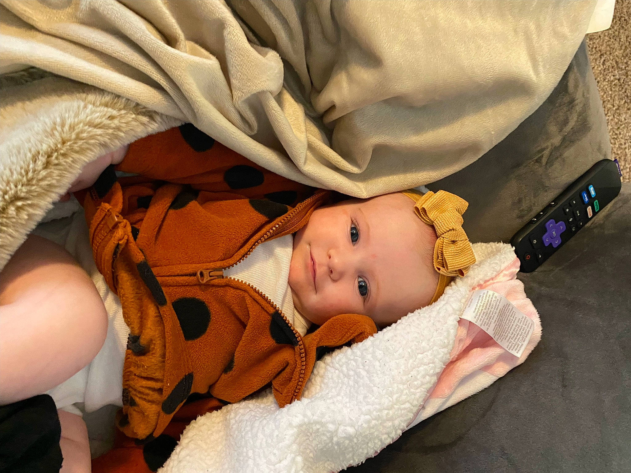 Everlee joined the competition — help win amazing prizes! baby, baby_products, baby_sleeping, baby_toddler_clothing, bedtime, cheek, child, comfort, fashion_accessory, fur, hat, linens, nap, pattern, person, sitting, sleep, toddler, tree, wood