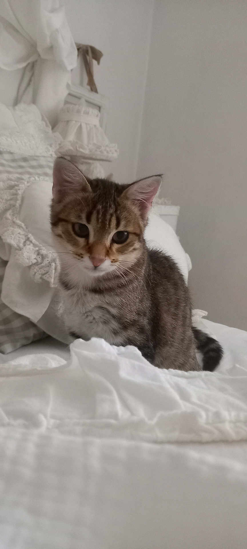 Bébé