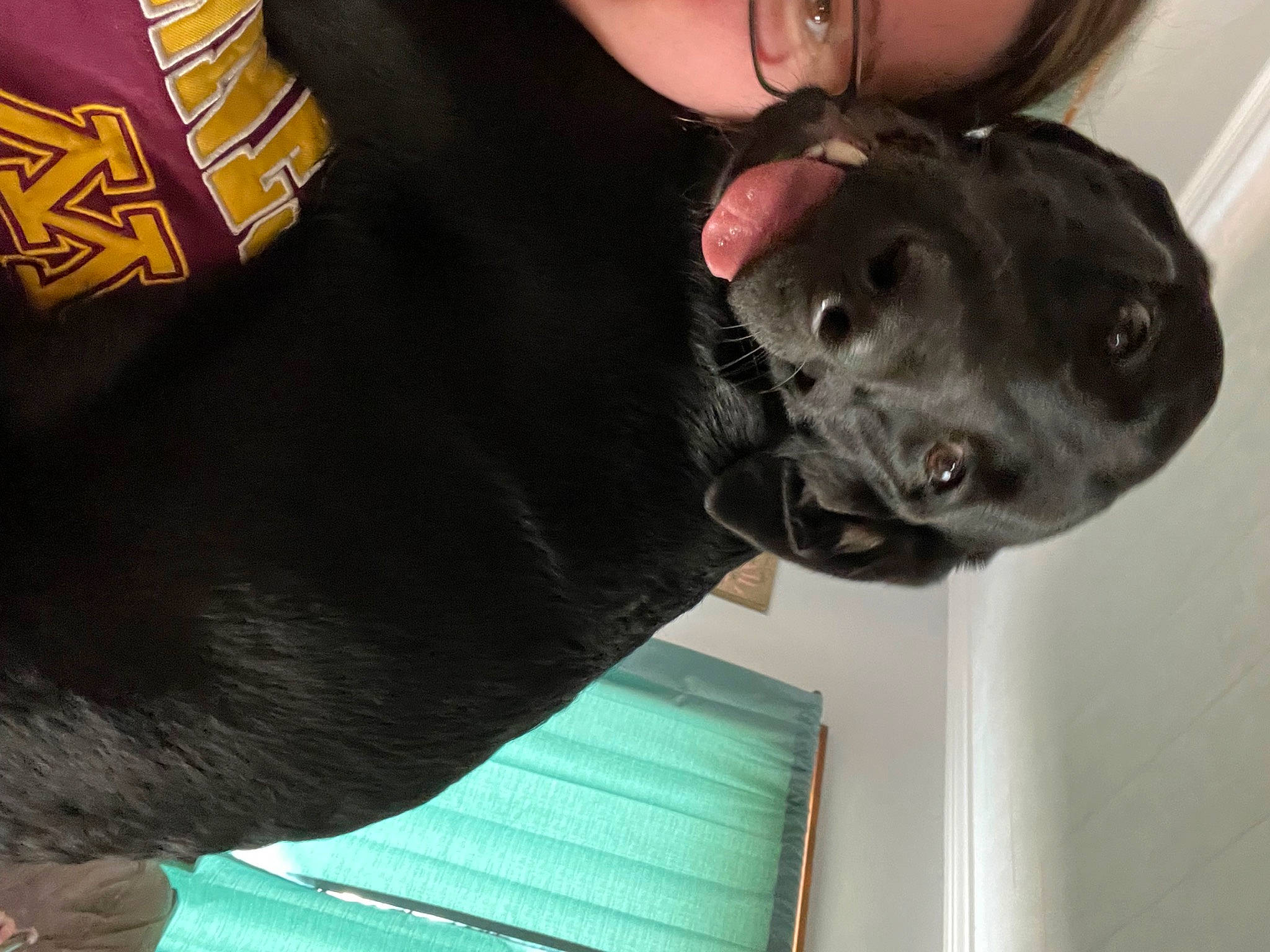 Sporty is registered to the contest to win money with this photo: black, carnivore, companion_dog, dog, dog_breed, dog_collar, eyewear, fur, guard_dog, helmet, logo, military_camouflage, non_sporting_group, personal_protective_equipment, photography, sleeve, snout, sporting_group