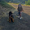 child, girl, puppy, dog, leash, outdoor, path, grass, trees, sunset, nature, smiling, pet, playing, happy, animal, young, casual, summer, walk