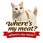 Samson is registered to the contest to win money with this photo: cat, white_cat, orange_cat, pet, animal, cute, green_eyes, fur, whiskers, curious, demanding, text_overlay, banner, question, hungry, isolated_background, studio_shot, playful, funny, domestic_animal