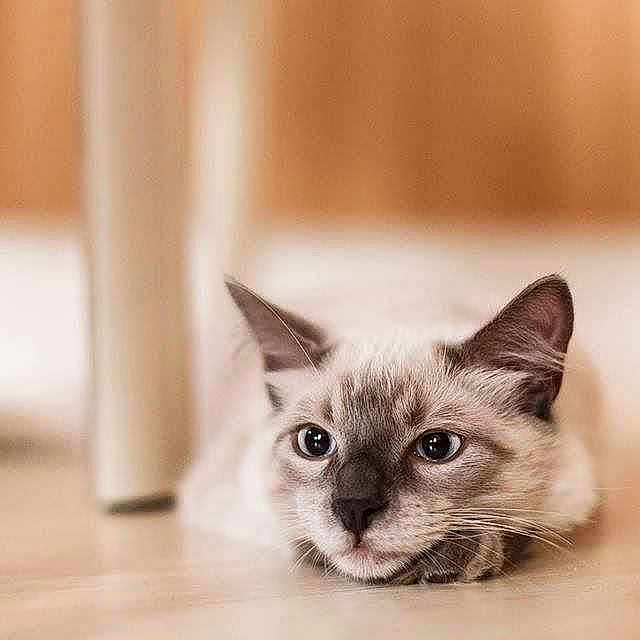 Helios a rejoint le concours — aidez-le/la à gagner de superbes lots !