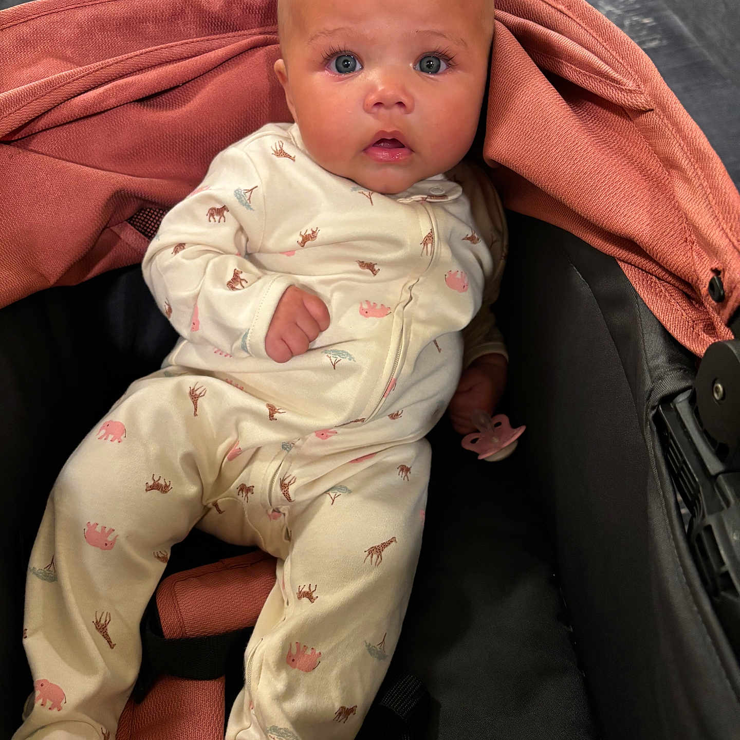 Alessia joined the competition — help win amazing prizes! animal_print, baby, baby_girl, child, closeup, clothing, cute, expression, eyes, face, hands, indoor, infant, onesie, pink, portrait, seatbelt, sitting, soft_fabric, stroller